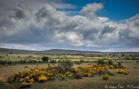 11393783_1626639564219003_8883204121673667212_o