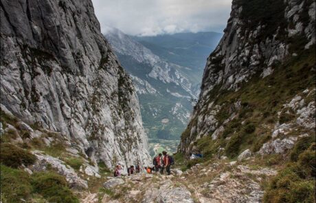 11412099_920178981361164_2561361457935617101_o