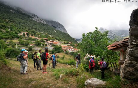 11537582_1638005649749061_5814018076579328821_o