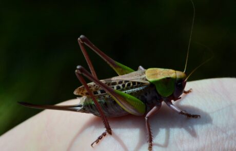 11782300_754869024622613_5189617907140754000_o