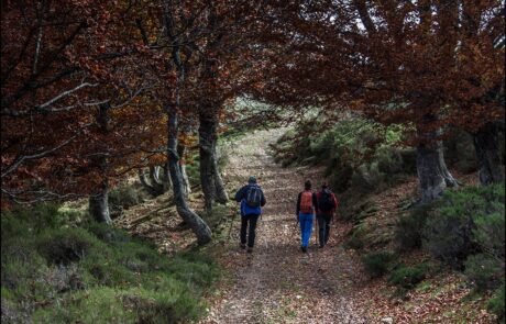 11782451_968913389821056_8230207933890305181_o