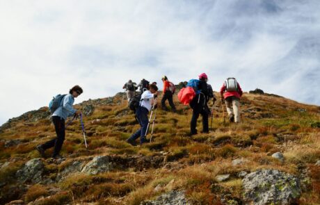 11791947_754867151289467_57346877613821914_o