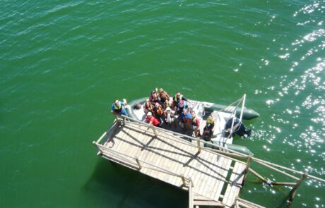 11802516_1160591103956742_6660702637825245871_o