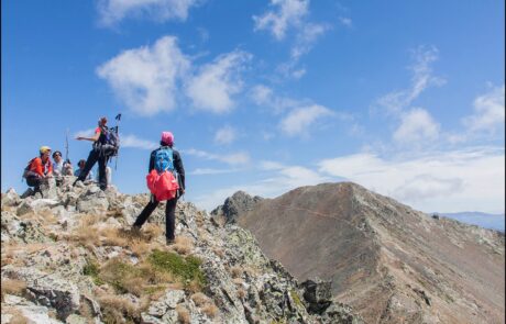 11807617_932254756820253_24747698374684457_o