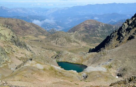 11822967_754867907956058_7353897763767452966_o