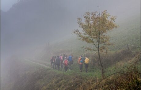 11838828_969369023108826_2661097142577704136_o