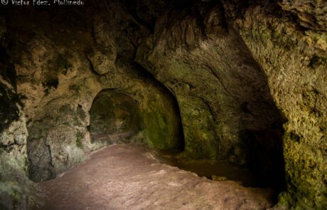 11844976_1647641985452094_1868008107473475700_o