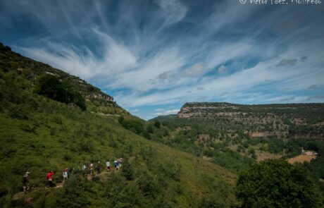 11845098_1647641998785426_2588909968630112603_o