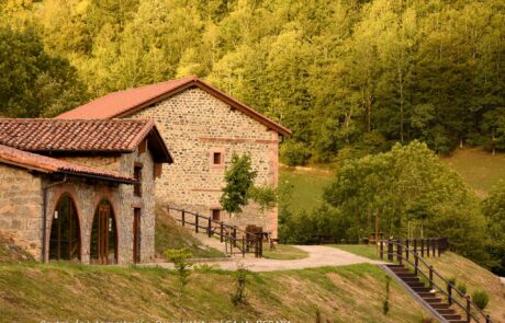 11908895_910297432370169_7214165077205883328_o