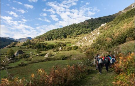 11947879_951432808235781_3828117760585999262_o