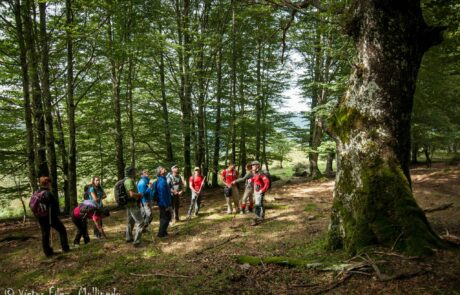 11953471_1659507447598881_6805290434854118346_o