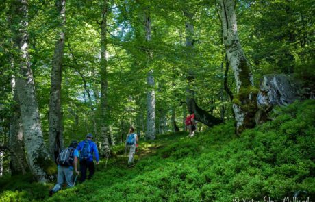 12014971_1659507350932224_5869236921921036532_o