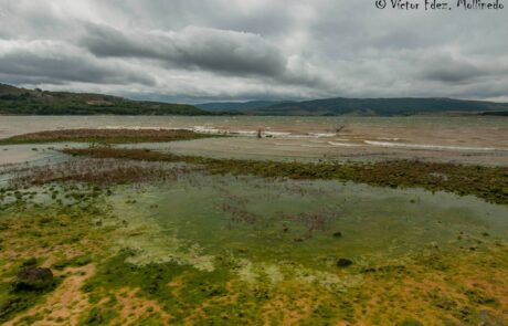 12015100_1659511527598473_4378488638508274524_o