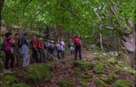 12031476_952186954827033_8765374556564702809_o-1