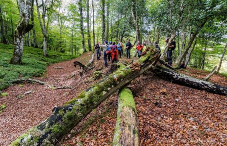 12032843_869103193186505_3126915381711240454_o