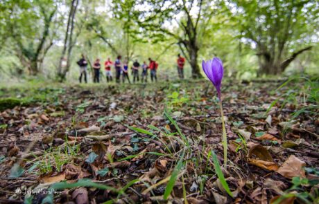 12068462_866779026752255_9004551035132489486_o