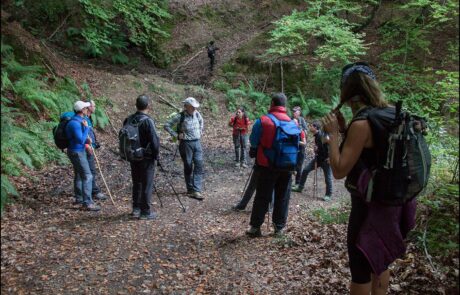 12132466_965945226784539_5693990196777607539_o