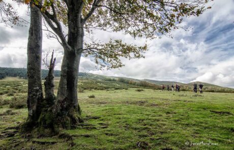 12140924_869103279853163_3414295502465597827_o