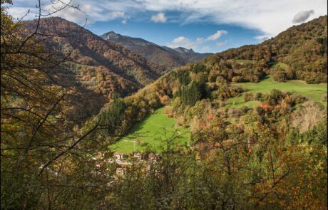 12185484_971780022867726_5302957560986639366_o