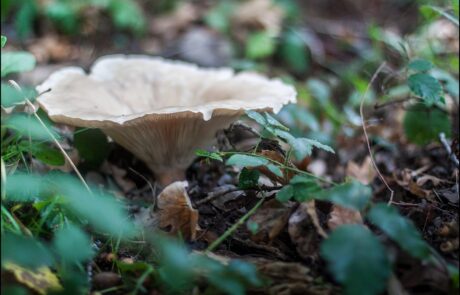 12188137_969370173108711_6906401523693088890_o