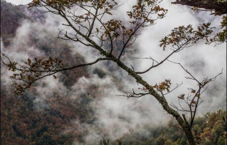 12188214_969369793108749_9129071069060157721_o