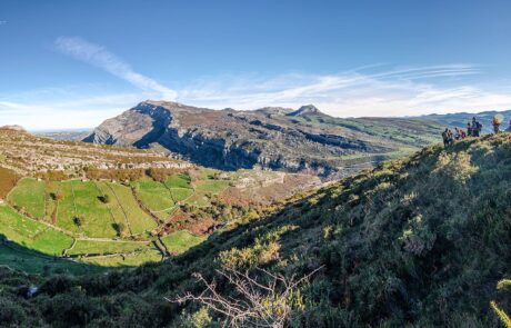 12238292_880471752049649_9214932303296852719_o