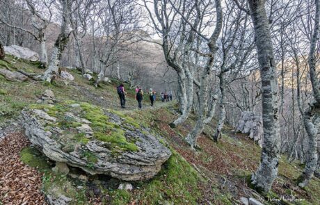 12244318_880471885382969_2807543517640330738_o