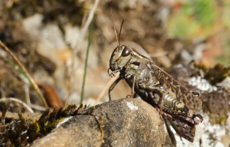 1414989_501528933277268_1287426027_o