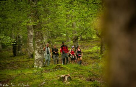 1531874_1500075053542122_3951345967538825283_o