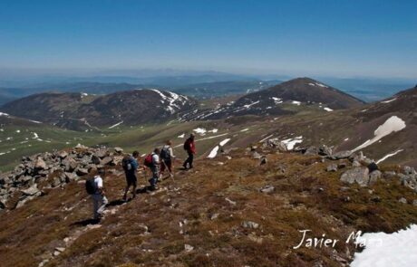 156473_337272986369531_797925314_n