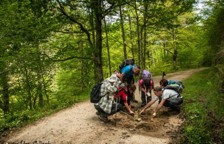 1614519_1489295534620074_231311660169456886_o