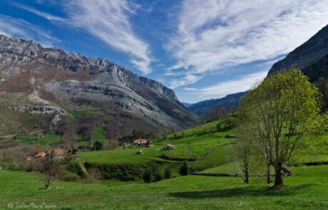 1654602_579846838778810_3404923898988341409_o