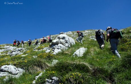 1658519_812621815501310_5825396991618085953_o