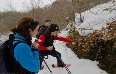 16888_390630494367113_1209114414_n