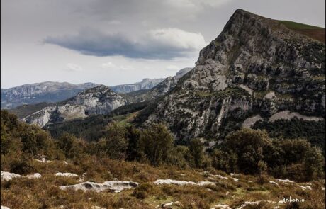 1781270_672592406119824_1693010751_o