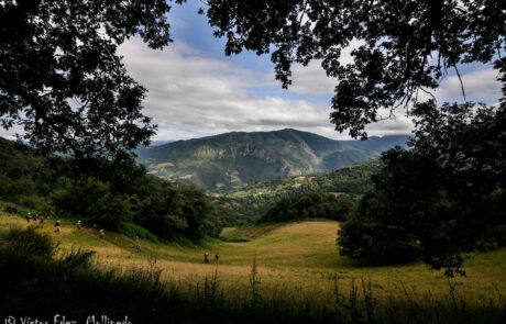 1799928_1638005909749035_7677212470995106135_o