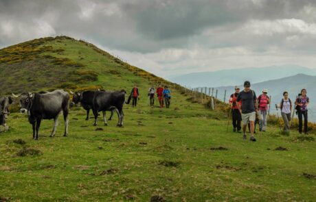 1800155_1523745311175096_8949811948546483371_o