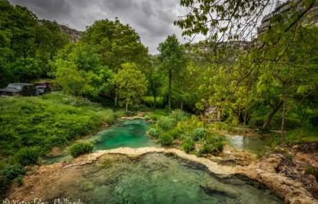 1801407_1626639664218993_6214316734996654424_o