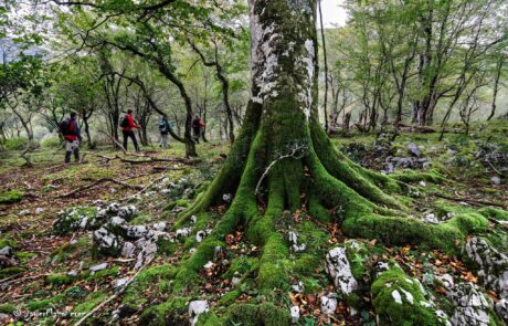 1900581_679361505494009_2037716441795363028_o