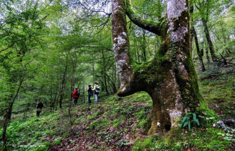 1921061_679366558826837_9074402662983111552_o