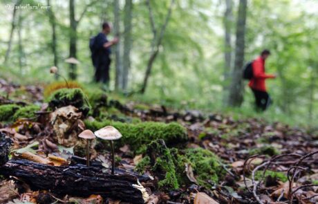 1960802_679371382159688_7929248320039440798_o