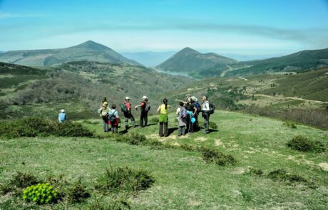 1979919_1483427488540212_6714864832763835299_o