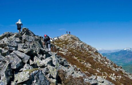 254447_337272823036214_1455321859_n