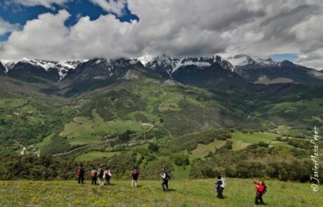 264448_427736350656527_1467740964_n