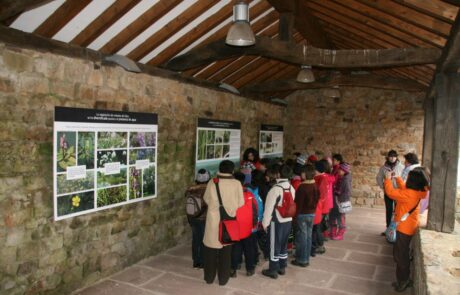 29792_218205544976848_769171219_n