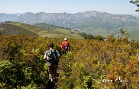 644520_337287079701455_448909779_n