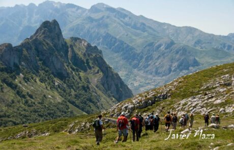 69545_337286903034806_346455629_n