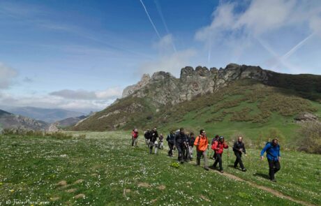 740090_593244164105744_2504821346781485603_o (1)