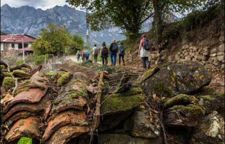 887438_971782162867512_1571856048991658641_o