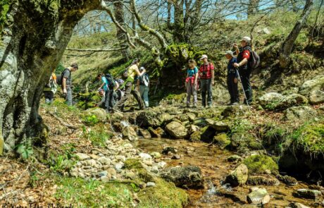 893998_1483427518540209_8876678690009838931_o